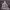 https://res.cloudinary.com/billionhands/image/upload/v1781022923/items/pyeqrdiviawooh3rewta.jpg-0cover