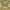 https://res.cloudinary.com/billionhands/image/upload/v1781022934/items/gjklmxzmrsimy5rfx8jv.jpg-1cover