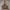 https://res.cloudinary.com/billionhands/image/upload/v1781022944/items/xrwevjcisri3bzfec2ys.jpg-0cover