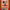 https://res.cloudinary.com/billionhands/image/upload/v1781023117/items/psrnoaqdnegf6ugdlqma.jpg-2cover