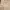 https://res.cloudinary.com/billionhands/image/upload/v1781024106/items/s3oihibzehjx7wttkge4.jpg-1cover