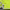 https://res.cloudinary.com/billionhands/image/upload/v1781024944/items/llhpnjzw8afmttxz6unk.jpg-3cover