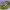 https://res.cloudinary.com/billionhands/image/upload/v1781025472/items/x5kncdljffrwh1kfunga.webp-3cover