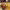 https://res.cloudinary.com/billionhands/image/upload/v1781025512/items/in61l66gxkfxhziks0wv.jpg-0cover