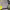 https://res.cloudinary.com/billionhands/image/upload/v1781025850/items/cejwvazllwfl66wyqohk.jpg-2cover