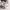 https://res.cloudinary.com/billionhands/image/upload/v1781025941/items/aajt2h1inp0lgdlfcgza.webp-3cover