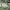 https://res.cloudinary.com/billionhands/image/upload/v1781029517/items/rspjzrf2ql7whx8g0jah.webp-3cover