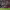 https://res.cloudinary.com/billionhands/image/upload/v1781029761/items/hcczfoohs9wa6uy9vab0.jpg-2cover