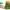 https://res.cloudinary.com/billionhands/image/upload/v1781029947/items/omlff89jydmutphv1imb.png-2cover