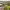 https://res.cloudinary.com/billionhands/image/upload/v1781030225/items/lv3zfwlkpytwnhod54aa.webp-3cover