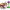 https://res.cloudinary.com/billionhands/image/upload/v1781033248/items/qebbzhnkphrkr4okzxcv.png-2cover