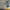https://res.cloudinary.com/billionhands/image/upload/v1781033365/items/h7mw3ol6evsif3vvfanm.jpg-2cover