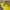 https://res.cloudinary.com/billionhands/image/upload/v1781034754/items/slvhj1bvnpj0cdcqvbpa.jpg-0cover
