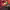 https://res.cloudinary.com/billionhands/image/upload/v1781035298/items/pz72xssern15vzic5rpf.jpg-2cover