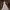 Detachable Capes and Overskirts cover