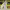 https://res.cloudinary.com/billionhands/image/upload/v1781035379/items/rbyw9o1f9pvfehgrmwik.jpg-3cover
