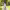 https://res.cloudinary.com/billionhands/image/upload/v1781035379/items/u2s52pwkgi1hkjwe3hdn.jpg-0cover