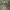 https://res.cloudinary.com/billionhands/image/upload/v1781038123/items/ypqde3xhizxlnlratyzj.jpg-0cover