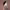 https://res.cloudinary.com/billionhands/image/upload/v1781038973/items/ydtu08f4gechhn4otxgm.webp-3cover