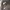 https://res.cloudinary.com/billionhands/image/upload/v1781040674/items/r1tfuqeximqjrzyksrgp.webp-1cover