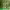 https://res.cloudinary.com/billionhands/image/upload/v1781040676/items/rpqwzfokuu2qedywiqop.webp-1cover
