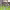 https://res.cloudinary.com/billionhands/image/upload/v1781041011/items/fdcyl0qw3yis16lcfhrk.jpg-2cover