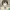 Manami Tamura cover