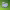 https://res.cloudinary.com/billionhands/image/upload/v1781041332/items/nyhxk38mvlok3galoygt.png-1cover