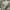 https://res.cloudinary.com/billionhands/image/upload/v1781041344/items/zthftfwdut0qprvr3bdh.jpg-0cover