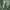 https://res.cloudinary.com/billionhands/image/upload/v1781041347/items/pvnrp4f6rvcil7z5qxsj.jpg-0cover