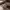 https://res.cloudinary.com/billionhands/image/upload/v1781041951/items/tuunprwd6aq3jarbnvaa.webp-0cover
