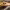 https://res.cloudinary.com/billionhands/image/upload/v1781041954/items/m8hstcwxuekyhrxfjdft.webp-2cover