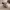 https://res.cloudinary.com/billionhands/image/upload/v1781041989/items/icodnhuerffvgki99ttd.jpg-0cover