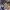 https://res.cloudinary.com/billionhands/image/upload/v1781042646/items/i8dltqdz0mrxtfdjp2nq.jpg-3cover