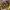https://res.cloudinary.com/billionhands/image/upload/v1781046618/items/l8dsqt0kclwhzwt3pptk.jpg-2cover