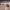 https://res.cloudinary.com/billionhands/image/upload/v1781046919/items/zzslgrap4pkyzb6amtin.jpg-3cover