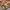 https://res.cloudinary.com/billionhands/image/upload/v1781046988/items/gcmllsdzkg3lnf9lfqs6.jpg-0cover