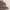 https://res.cloudinary.com/billionhands/image/upload/v1781047775/items/xpjclzmkhw6f9jgbx0ae.webp-1cover
