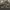 https://res.cloudinary.com/billionhands/image/upload/v1781047833/items/rmtyi5trhahnvvhsedu7.webp-1cover