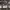 https://res.cloudinary.com/billionhands/image/upload/v1781048562/items/w3lpksxwu4tb78tfvevx.jpg-2cover