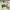 https://res.cloudinary.com/billionhands/image/upload/v1781049633/items/wlixrlmncjjekaekxkwd.jpg-1cover