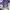 https://res.cloudinary.com/billionhands/image/upload/v1781049746/items/esjxokg1vit8gavgkncn.jpg-3cover