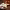https://res.cloudinary.com/billionhands/image/upload/v1781049800/items/ndxhtsylrr2n5jydiksn.jpg-0cover