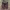 https://res.cloudinary.com/billionhands/image/upload/v1781052103/items/jvmhe9amg5onheewonlx.webp-2cover