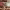 KitchenAid 5KHBV83E cover