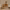 https://res.cloudinary.com/billionhands/image/upload/v1781052203/items/ujq7dwxqxhm0leznlx9y.jpg-1cover