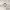 Grand Seiko Desk Clock cover