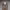 https://res.cloudinary.com/billionhands/image/upload/v1781054736/items/xi6xey8updhvfxpm4d6t.webp-2cover