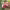 https://res.cloudinary.com/billionhands/image/upload/v1781055788/items/esobnia48erfnwgoigrh.jpg-1cover