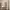 https://res.cloudinary.com/billionhands/image/upload/v1781057245/items/lopogy7qoxphbwrfuhxs.jpg-0cover